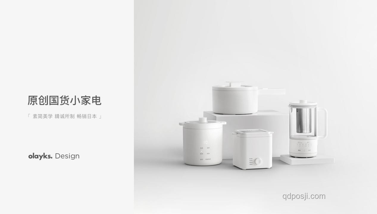 哪些国货小家电精准满足你的特定需求？深度解析